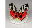 Régi kézzel festett porcelán pillangó