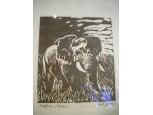 Bock Gyula : Elefánt című linómetszet