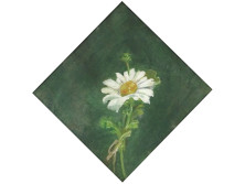 XX. századi festő : Egy szál virág