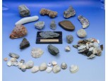 Régi kőzet kagyló gyűjtemény