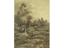 D. Bauer : Fácánok