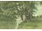 Schindler : "Sommermorgen"