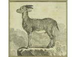 Régi zerge acélmetszet 15 x 15 cm