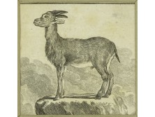 Régi zerge acélmetszet 15 x 15 cm