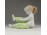 Jelzett Aquincumi porcelán kislány figura