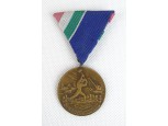 Régi bronz árvízi érdemérem plakett