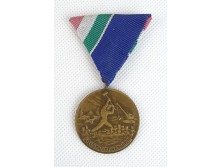 Régi bronz árvízi érdemérem plakett