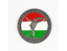 Ezüstözött forradalmi ifjúsági napok kitűző