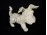 Régi Schaubach Kunst biszkvit fox terrier