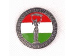 Régi ezüstözött Forradalmi Ifjúsági Napok kitűző