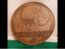 Nagyméretű bronzplakett Lapis András