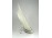 Régi német KPM porcelán pecsenyés tál 38 cm