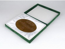 Kligl Sándor : Szeged bronz plakett 1498