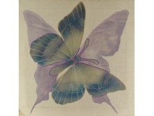 Vásárhelyi Katalin : Pillangó 60 x 60 cm