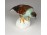 Régi Aquincum porcelán madár figura