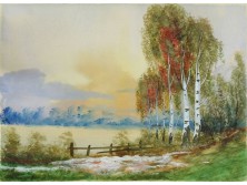 Hangyal József : Nyírfák