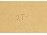 Keretezett arany nyomat imádkozó gyerekkel 16.5 x 21.5 cm