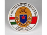 Szocialista CS.M. RFK érdemérem porcelán plakett