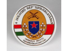 Szocialista CS.M. RFK érdemérem porcelán plakett