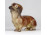 Régi kisméretű porcelán tacsi tacskó kutya 10.5 cm 