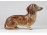 Régi kisméretű porcelán tacsi tacskó kutya 10.5 cm 