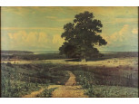 Ivan Shishkin : Magányos tölgy