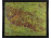 Németországi Harz nemzetipark térkép 35 x 43 cm