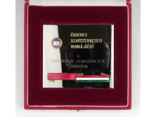 Pedagógus bronz plakett emlékérem 1983
