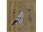 Keretezett egyiptomi keselyű papirusz kép 16 x 15 cm