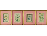 Botanikai képsor színes nyomat 4 db 23 x 18 cm