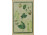 Botanikai képsor színes nyomat 4 db 23 x 18 cm