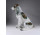 Régi nagyméretű porcelán spániel kutya 34 cm