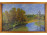 Erdei tó, jelzetlen olaj festmény 60 x 40 cm