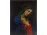 Magyar festő 19. század második fele :  Szűz Mária 69 x 55 cm