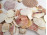 Tengeri kagyló és csiga gyűjtemény 1.31 kg