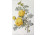 Botanikai képsor rózsákat ábrázoló színes nyomat 5 darab 31.5 x 23  cm