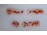 Régi kézzel festett jelenetes jelzett kínai porcelán kistál 5.7 x 11.4 cm
