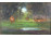 XX. századi magyar festő : Pihenő szarvasok 20 x 29 cm