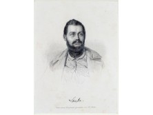Antik acélmetszet LAUBE