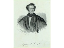 Antik acélmetszet CAPITAIN F. MARRYAT