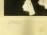 Jelzett művészi családi fotográfia 1931